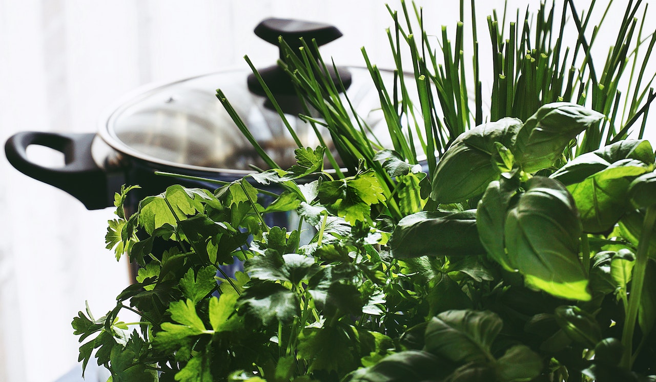 Jak uprawiać zioła w doniczkach na parapecie?