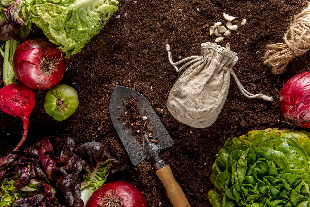Zielona rewolucja na podwórku: krok po kroku do własnej uprawy warzyw
