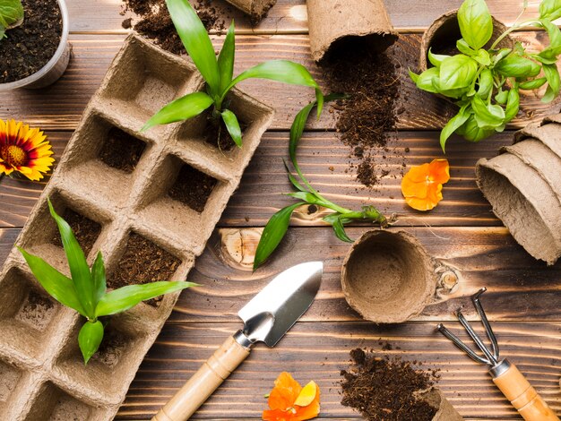 Sekrety plonów: jak dbać o warzywa w domowym ogródku
