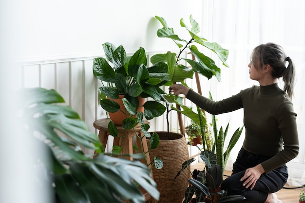 Jak stworzyć przytulną atmosferę w salonie za pomocą roślin?